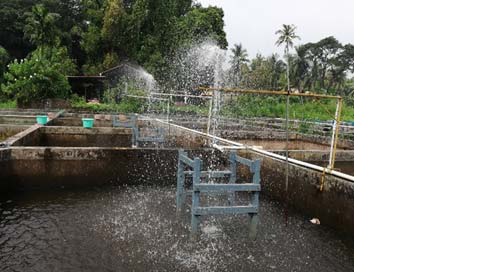 Designing and fabrication of different types of aerators in commercial aquaculture