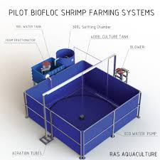 Biofloc Technology in Fish Aquaculture