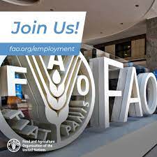 Employment at FAO
