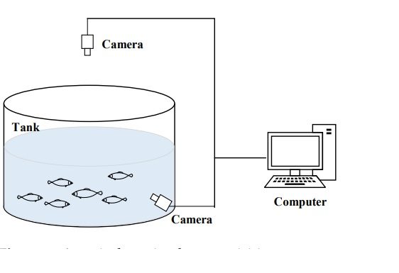 Application of Deep Learning-Based Object Detection Techniques in Fish Aquaculture